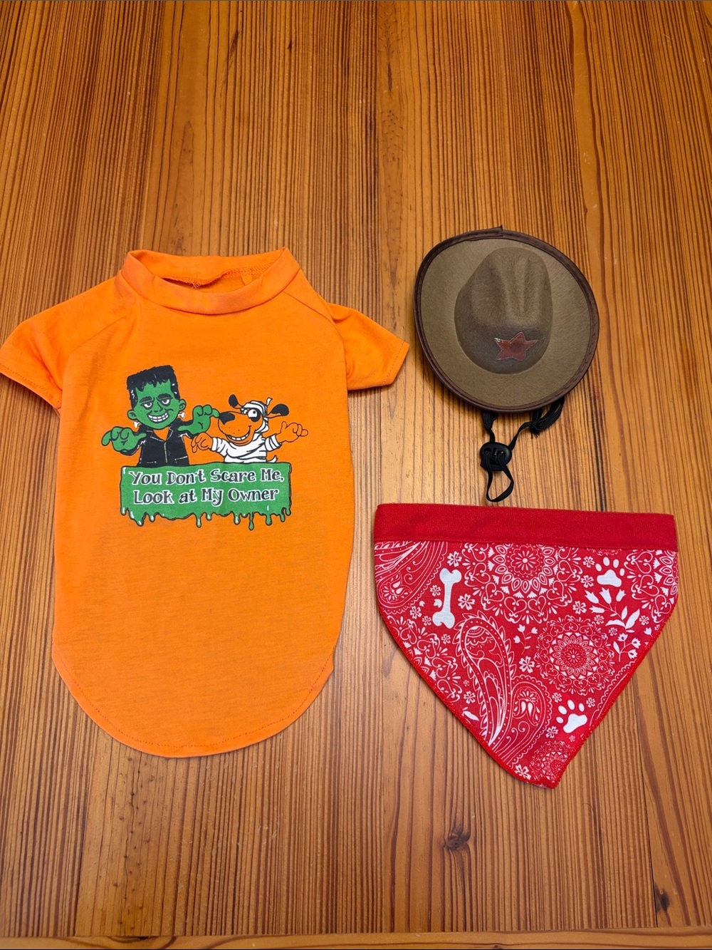 Small Dog Orange Halloween Costume Tee with Red Bandana and Brown Hat